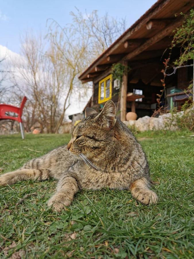 Chalet Belino Sokace Ужице Екстер'єр фото